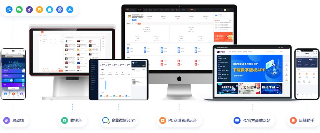 数字版权数字生态 PaaS+SaaS 开放平台:为产业互联网化、数字化赋能